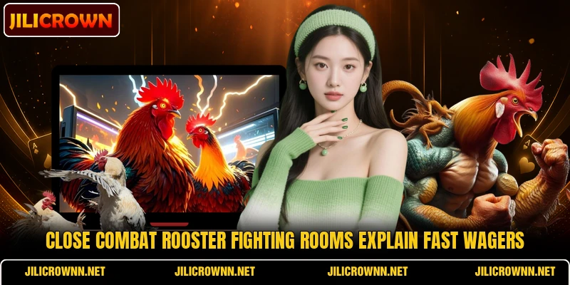 Close combat rooster fighting rooms explain fast wagers Close combat rooster fighting rooms explain fast wagers