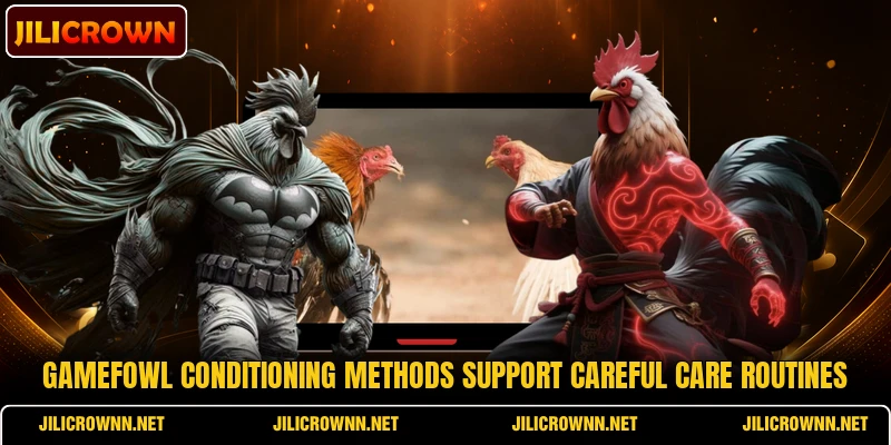 Gamefowl conditioning methods support careful care routines Gamefowl conditioning methods support careful care routines
