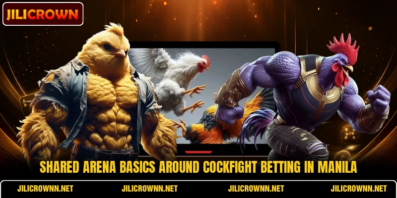 Shared arena basics around cockfight betting in Manila Shared arena basics around cockfight betting in Manila